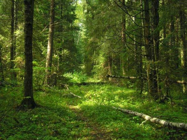 http://www.syntone-spb.ru/files/images/36QU6sfRSz0.jpg
